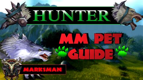 best pet for marksman hunter.